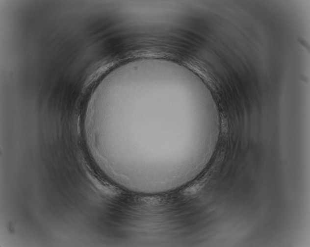 X0000097650302200803280935