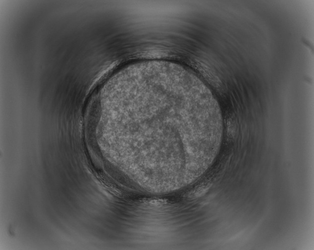 X0000097650304200803280935