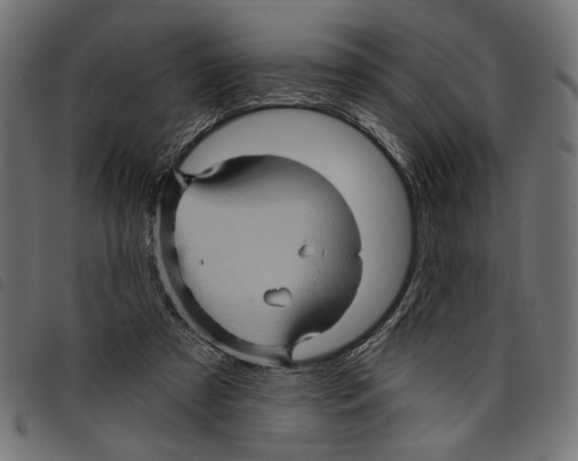 X0000097650305200803280935