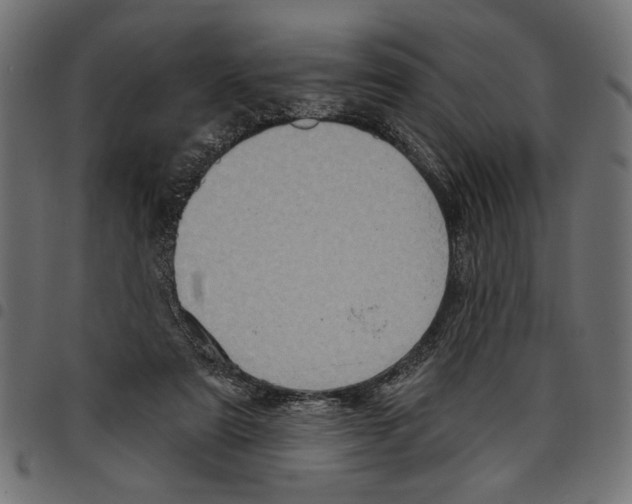 X0000097650307200803280935