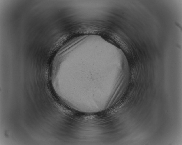 X0000097650309200803280935