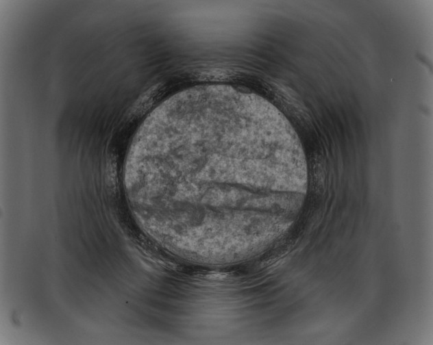 X0000097650312200803280935