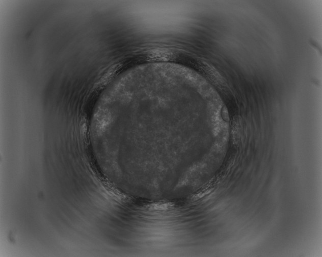 X0000097650314200803280935