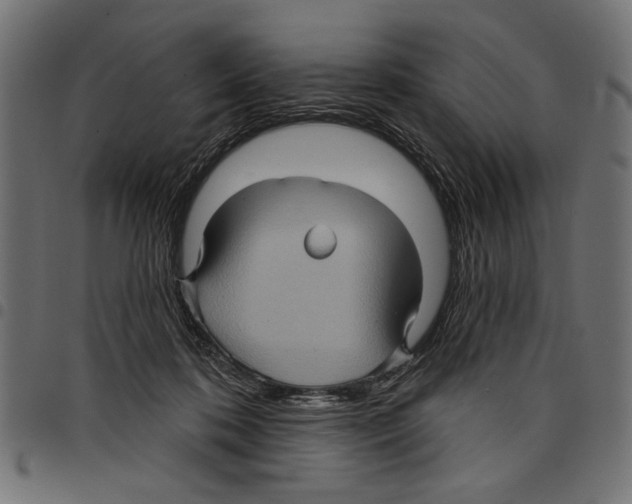 X0000097650316200803280935