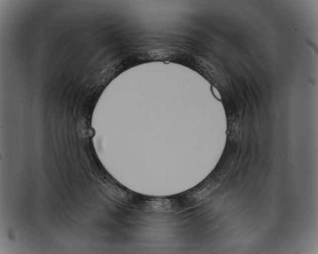 X0000097650317200803280935