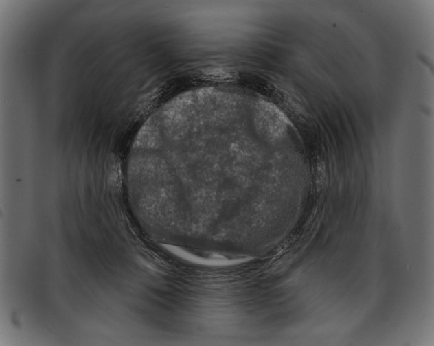 X0000097650320200803280935