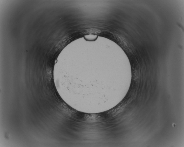 X0000097650321200803280935