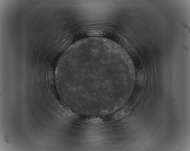 X0000097650322200803280935