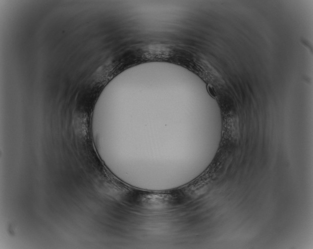 X0000097650323200803280935