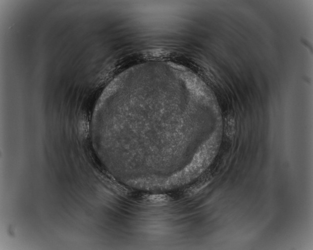 X0000097650324200803280935