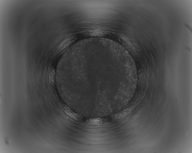 X0000097650325200803280935