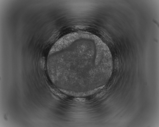 X0000097650328200803280935