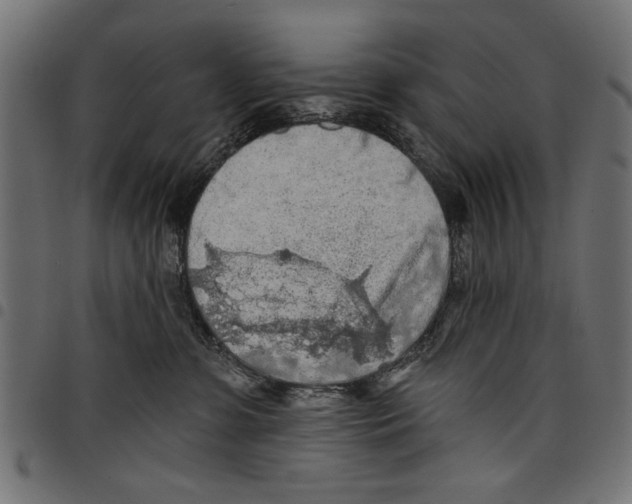 X0000097650331200803280935