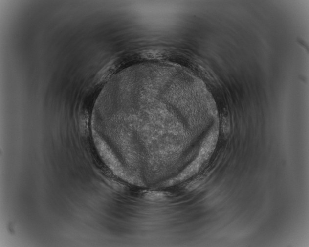 X0000097650332200803280935