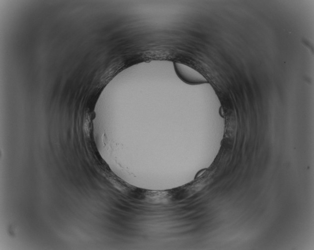 X0000097650334200803280935