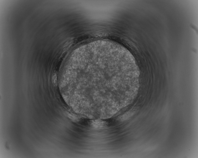 X0000097650336200803280935