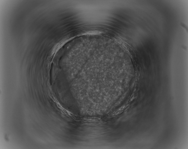 X0000097650337200803280934