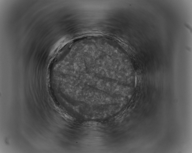 X0000097650339200803280934