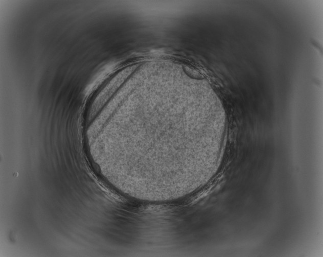 X0000097650341200803280934