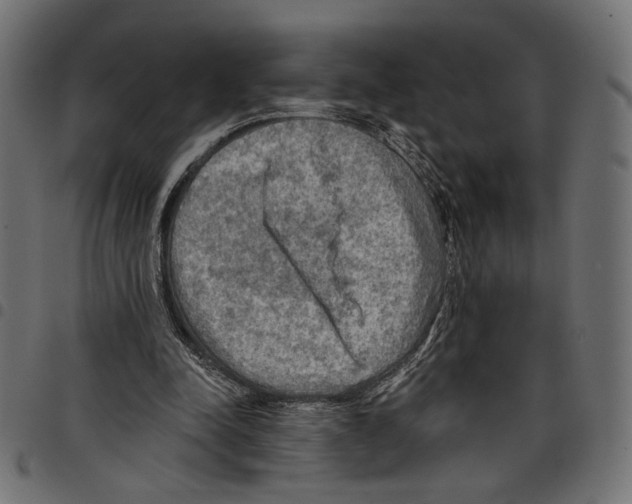 X0000097650342200803280934