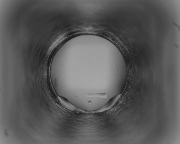 X0000097650344200803280934