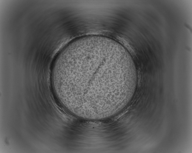 X0000097650346200803280934