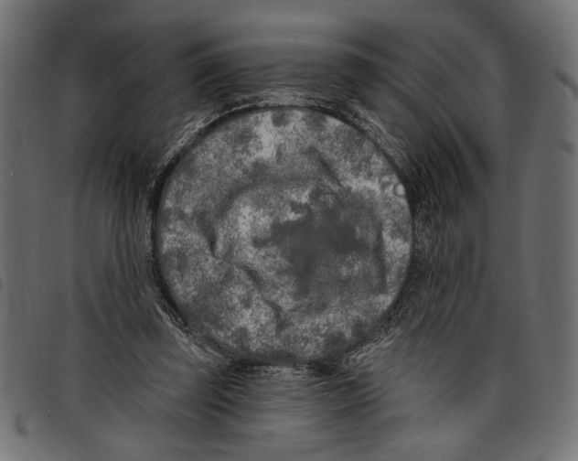 X0000097650347200803280934