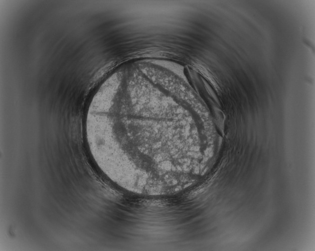 X0000097650349200803280934