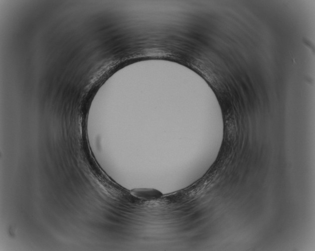 X0000097650350200803280934