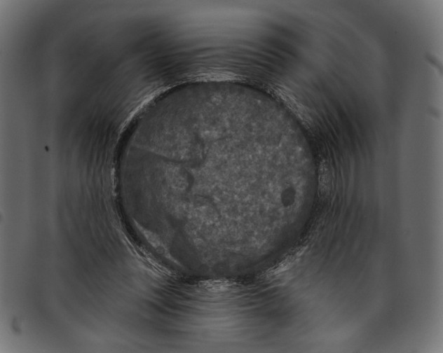 X0000097650351200803280934