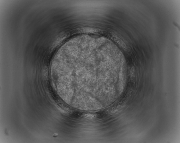 X0000097650352200803280934