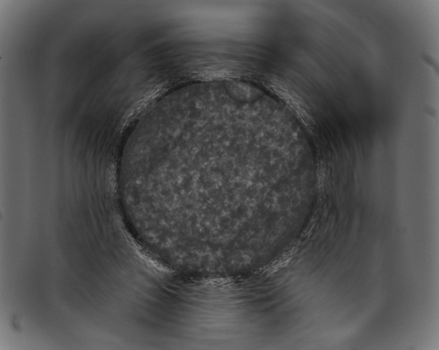 X0000097650353200803280934