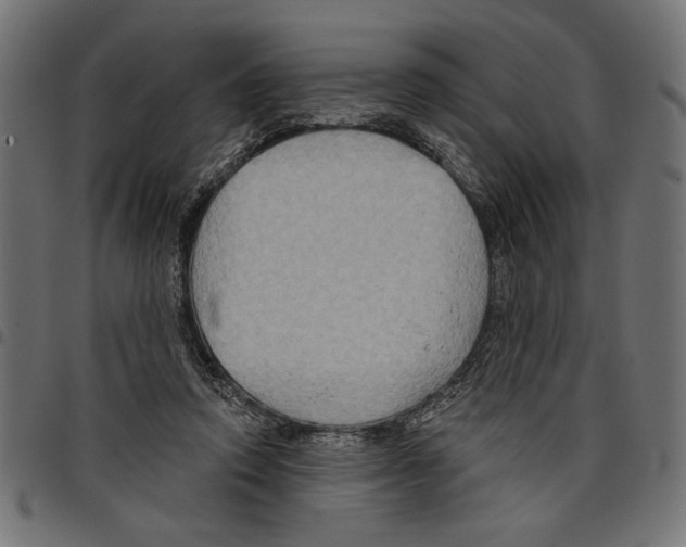 X0000097650354200803280934