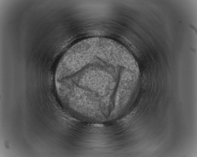 X0000097650355200803280934