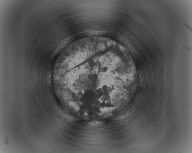 X0000097650357200803280934