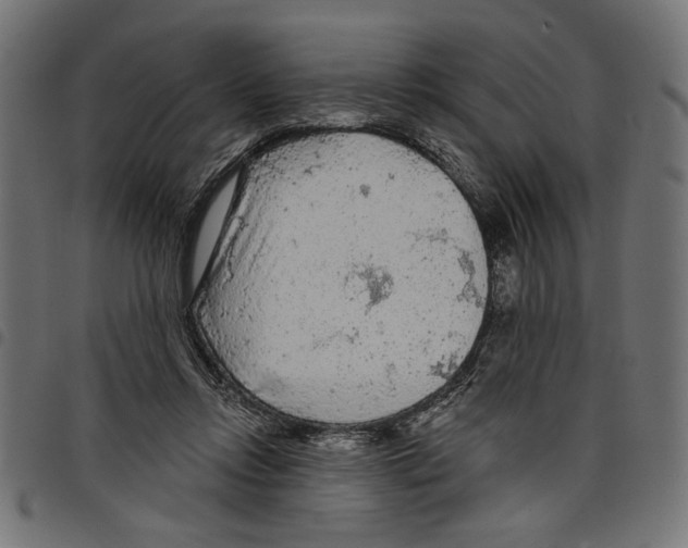 X0000097650358200803280934