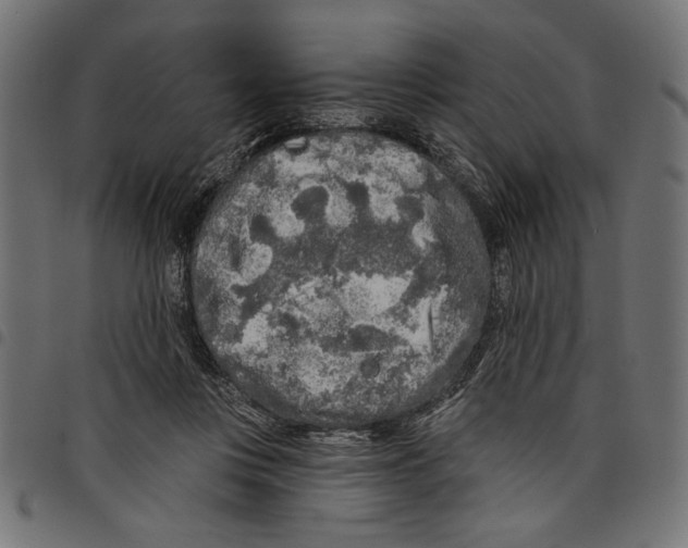 X0000097650359200803280934