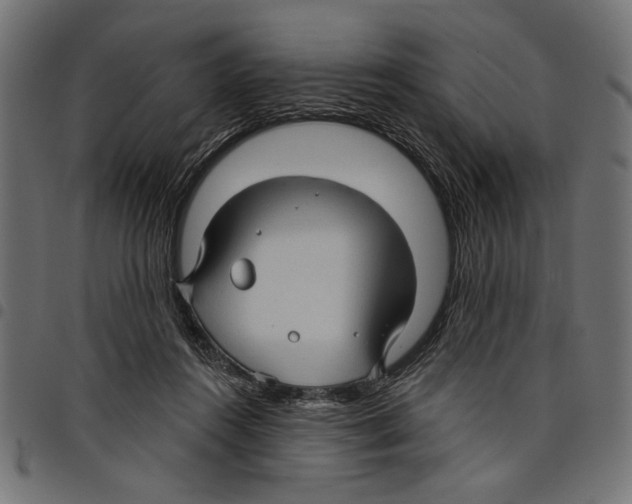 X0000097650360200803280934