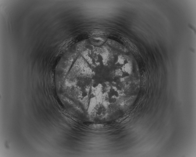 X0000097650361200803280934