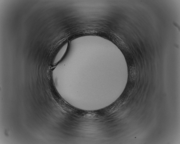 X0000097650364200803280934