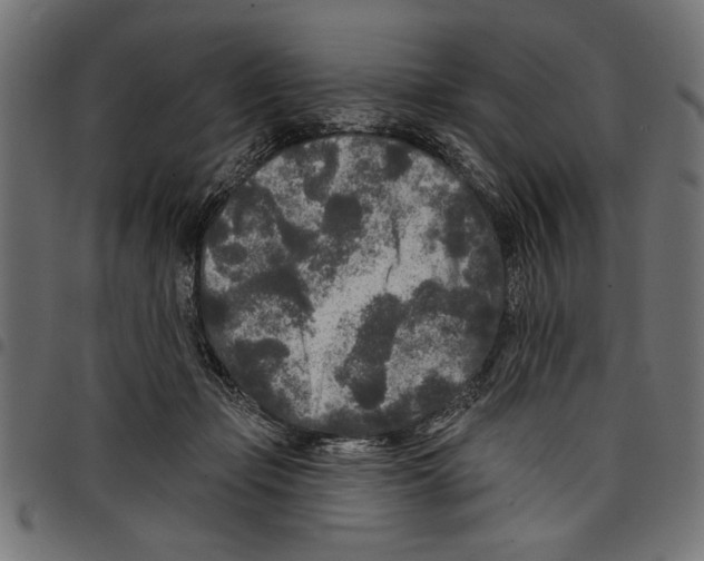 X0000097650365200803280934