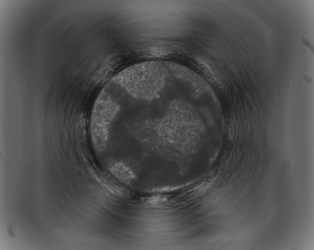 X0000097650366200803280934