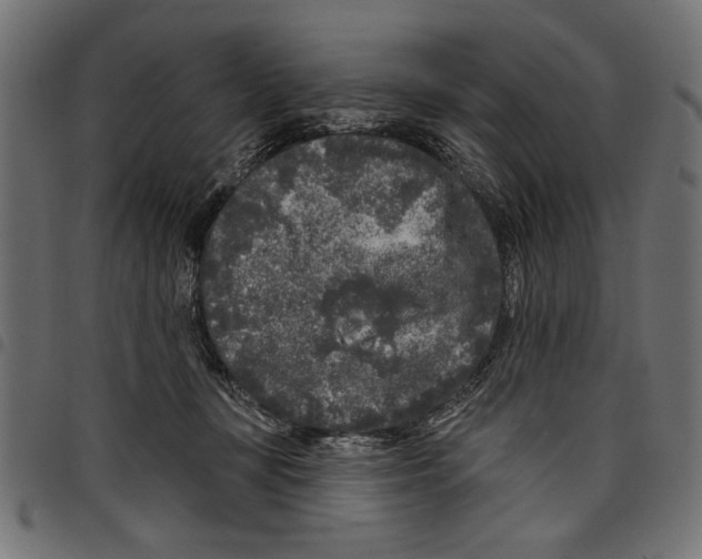 X0000097650367200803280934