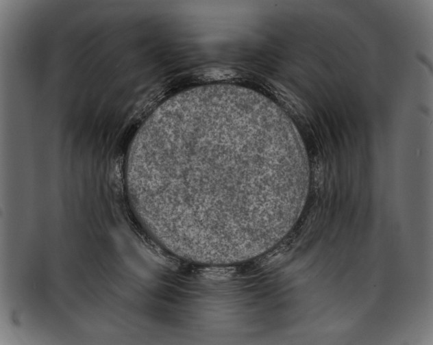 X0000097650373200803280934