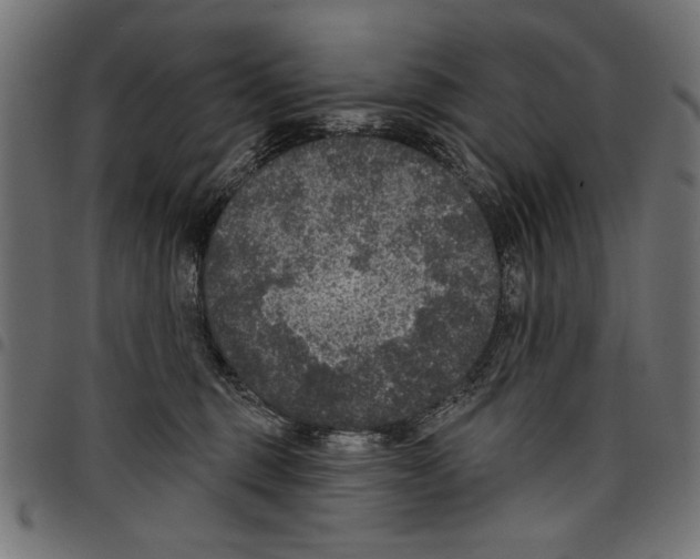 X0000097650375200803280934