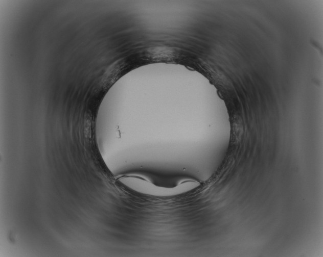 X0000097650379200803280934