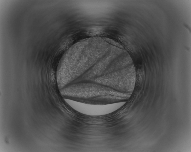 X0000097650380200803280935