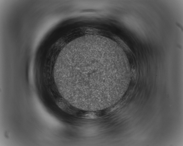 X0000097650381200803280935