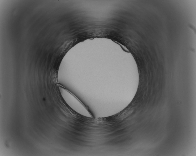 X0000097650384200803280935