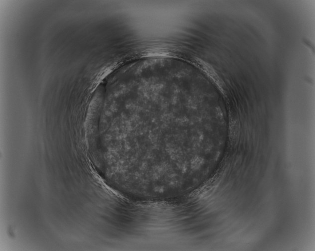 X0000097650385200803280934